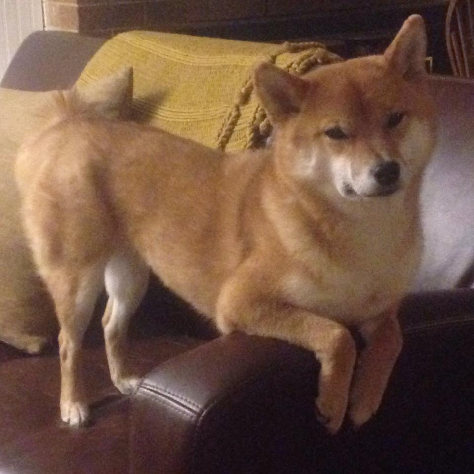 开云体育平台APP-最后一秒的暗夜传说，凯塞多数据全面爆炸，导演卡塔尔惊天绝杀